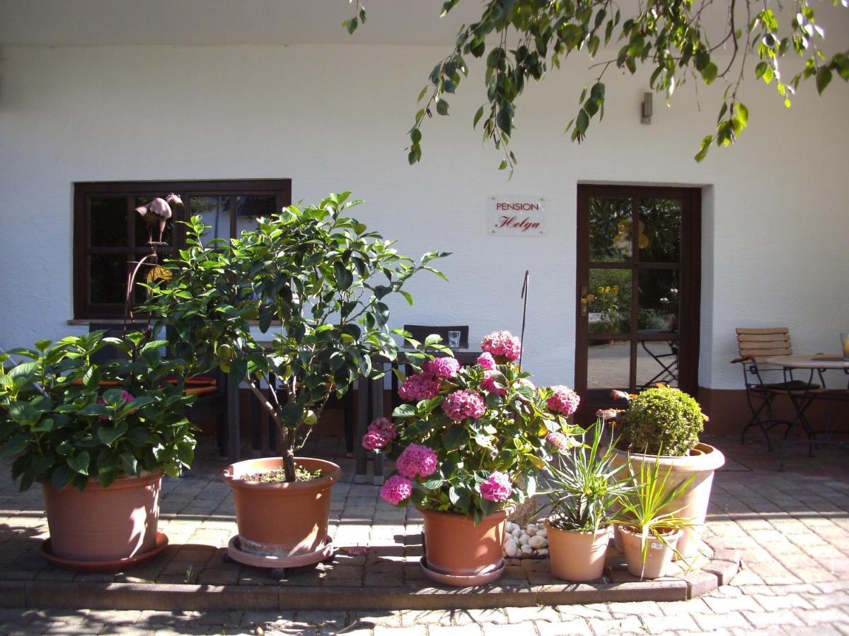 Pension Helga Bad Dürkheim Екстериор снимка